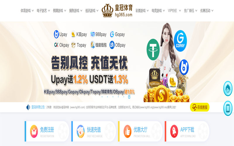 WE真人体育体育的规则与条款讲解 – 新手须知
